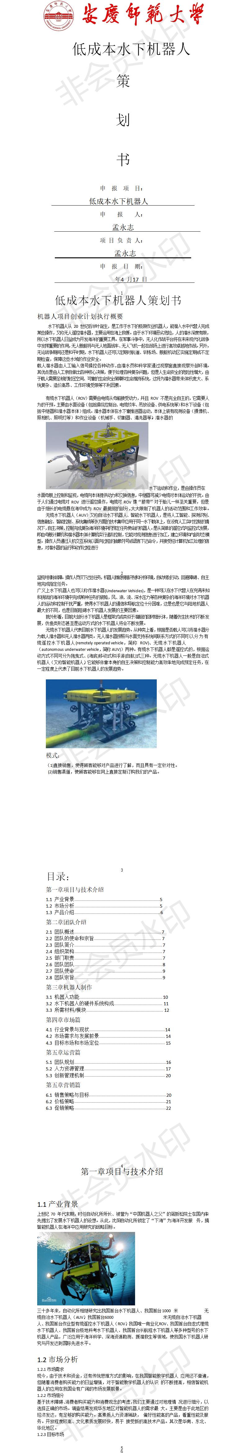 水下机器人创业-项目商业策划书