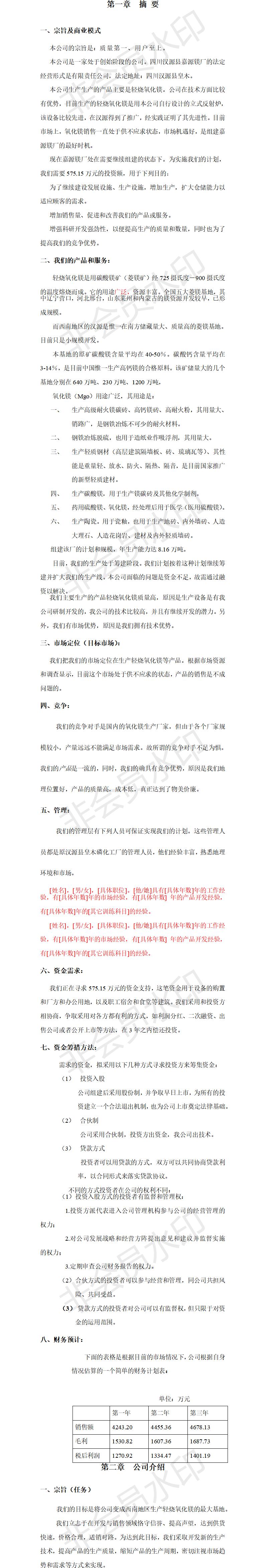 嘉源镁厂轻烧氧化镁商业-项目计划书