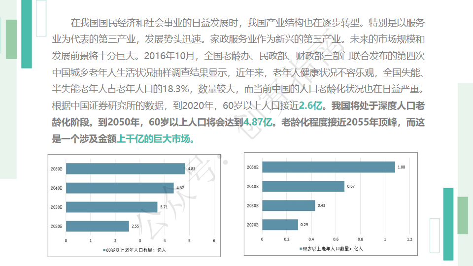 青英家护计划书-项目计划书