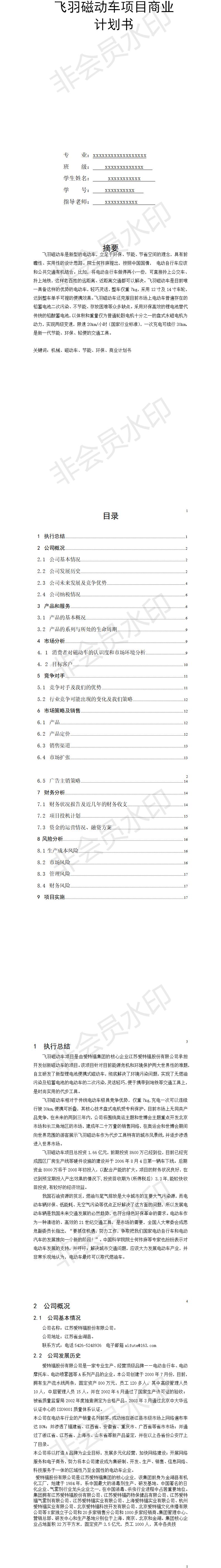 飞羽磁动车项目商业-项目计划书