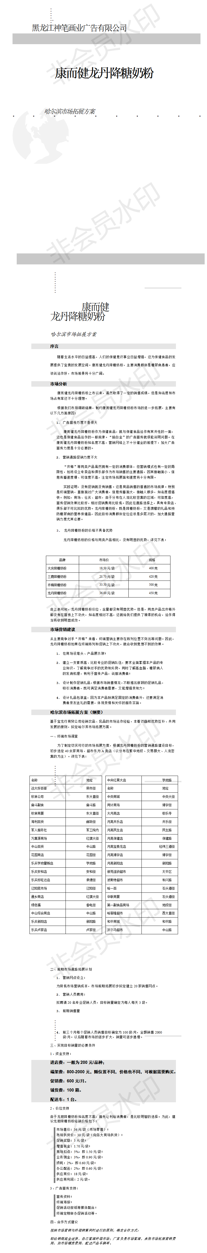龙丹市场拓展方案-项目计划书