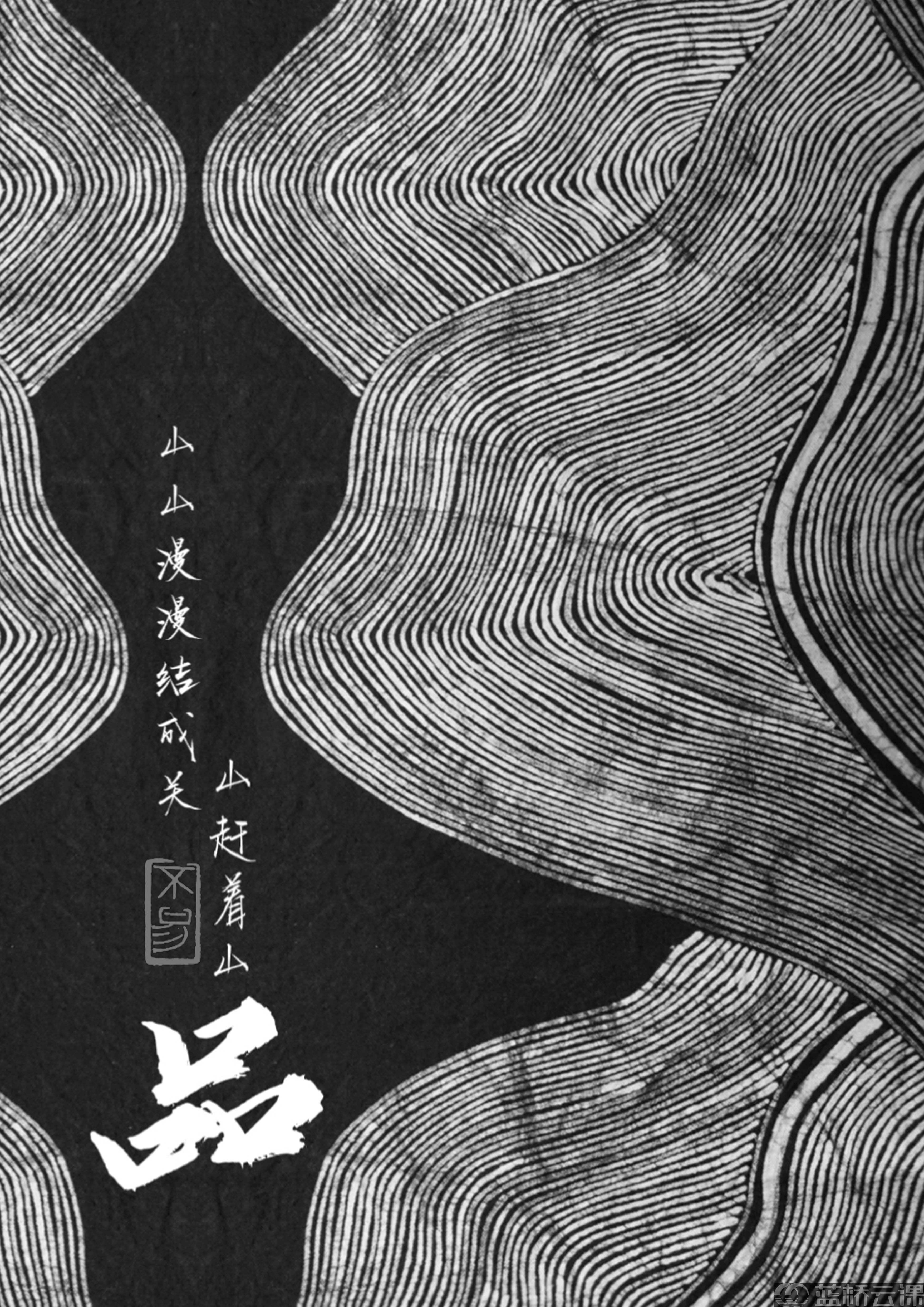 蓝桥杯高校视觉艺术设计赛-2022-平面类-一等奖-《脉》