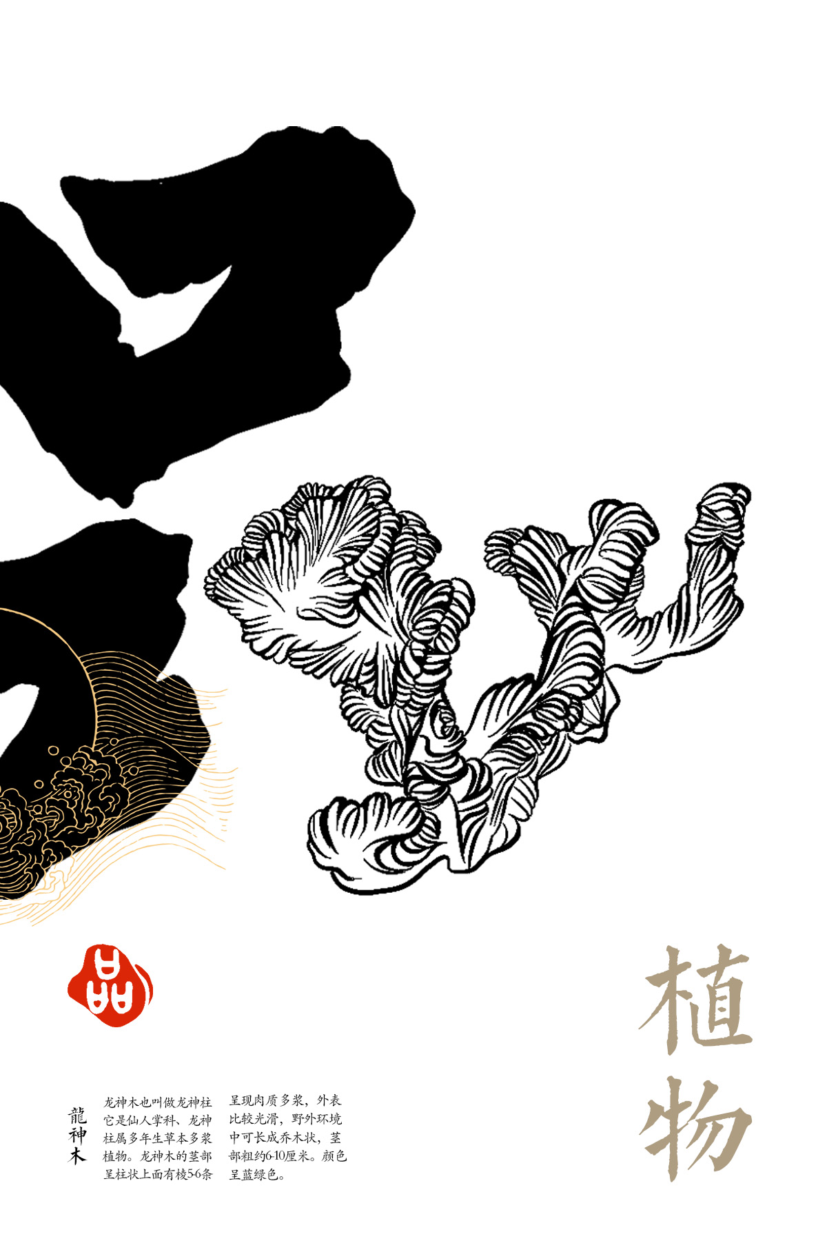 蓝桥杯高校视觉艺术设计赛-2022-平面类-一等奖-《品》-品植物