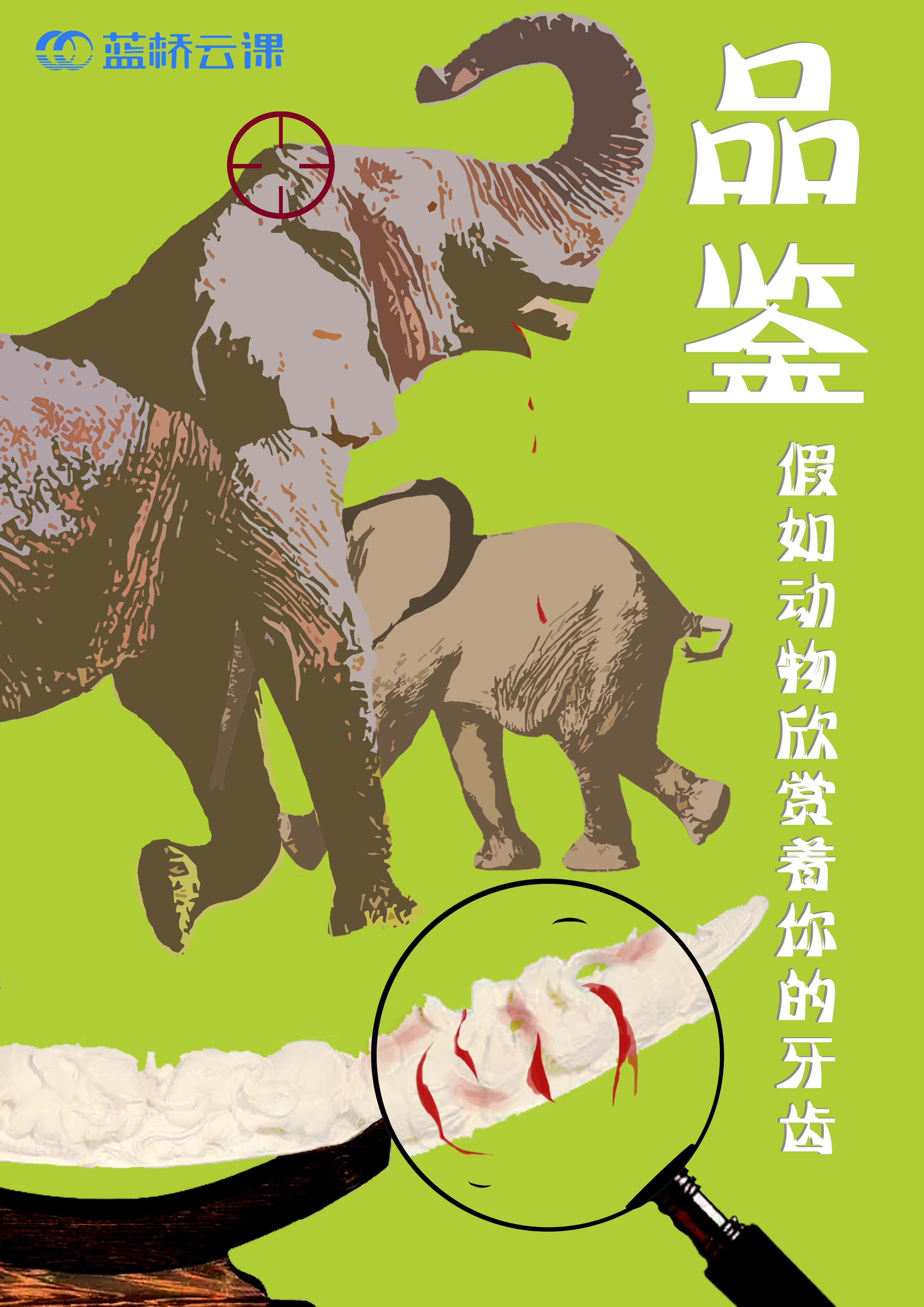 蓝桥杯高校视觉艺术设计赛-2022-平面类-一等奖-品鉴