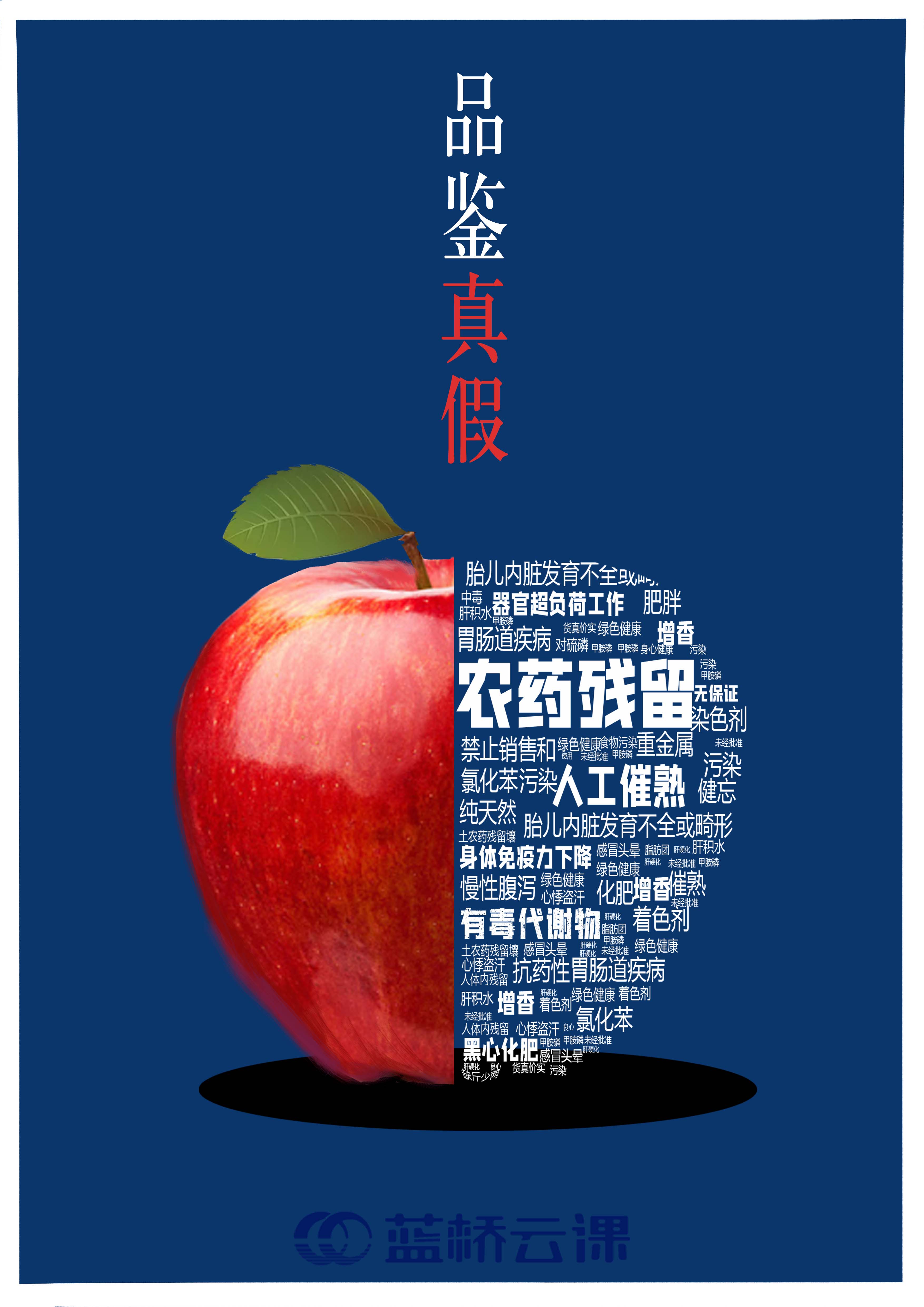 蓝桥杯高校视觉艺术设计赛-2022-平面类-一等奖-品鉴真假