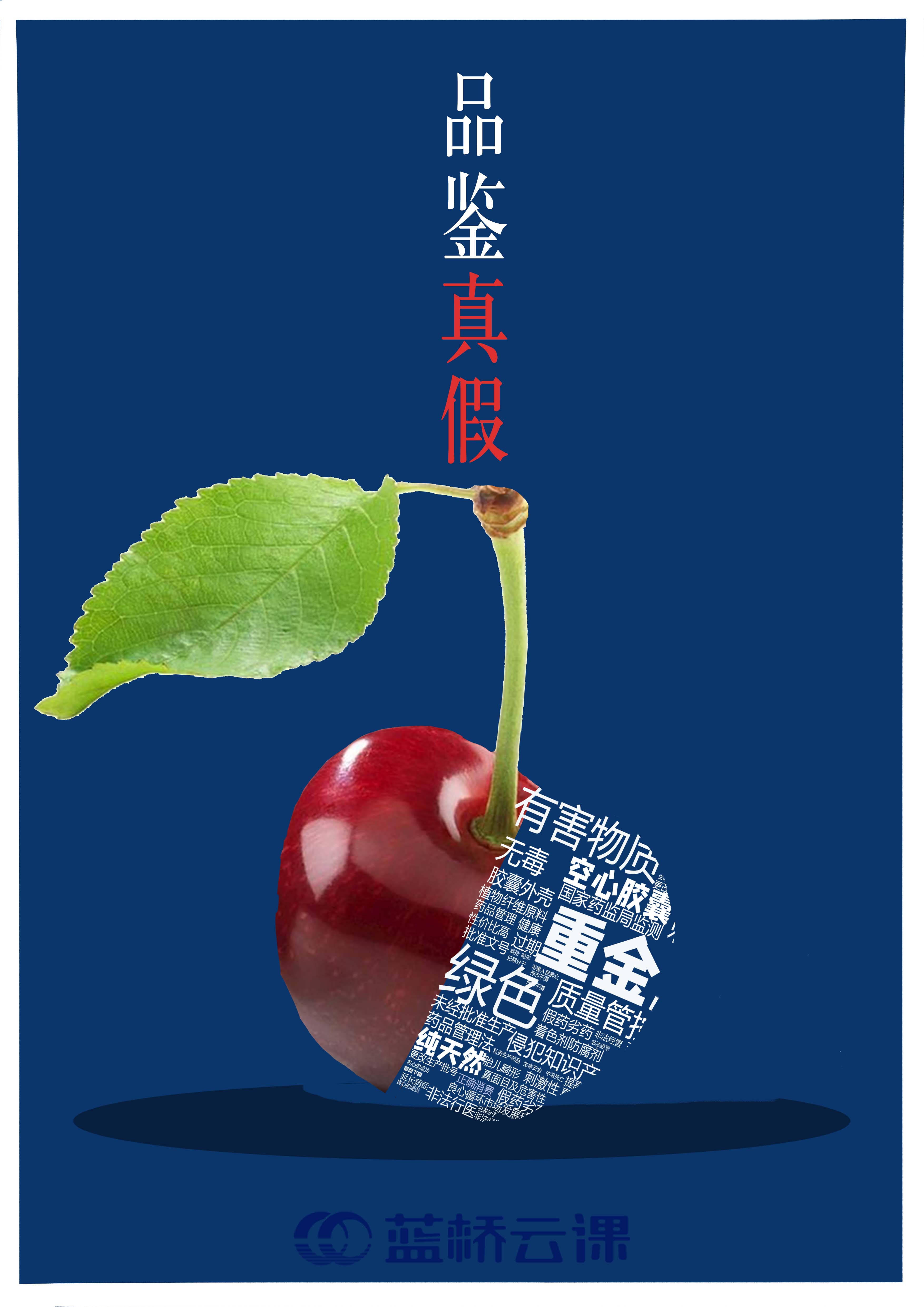 蓝桥杯高校视觉艺术设计赛-2022-平面类-一等奖-品鉴真假