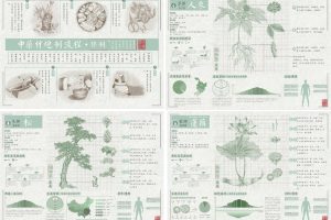 《“本草纲目”信息可视化设计》