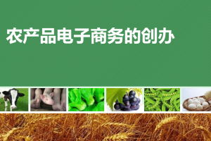 农产品电子商务