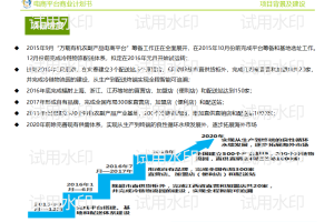 农村电商平台商业计划书