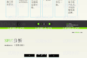 跨境电商商业计划书