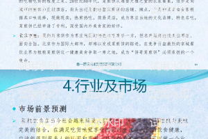 饼哥菜煎饼创业计划书