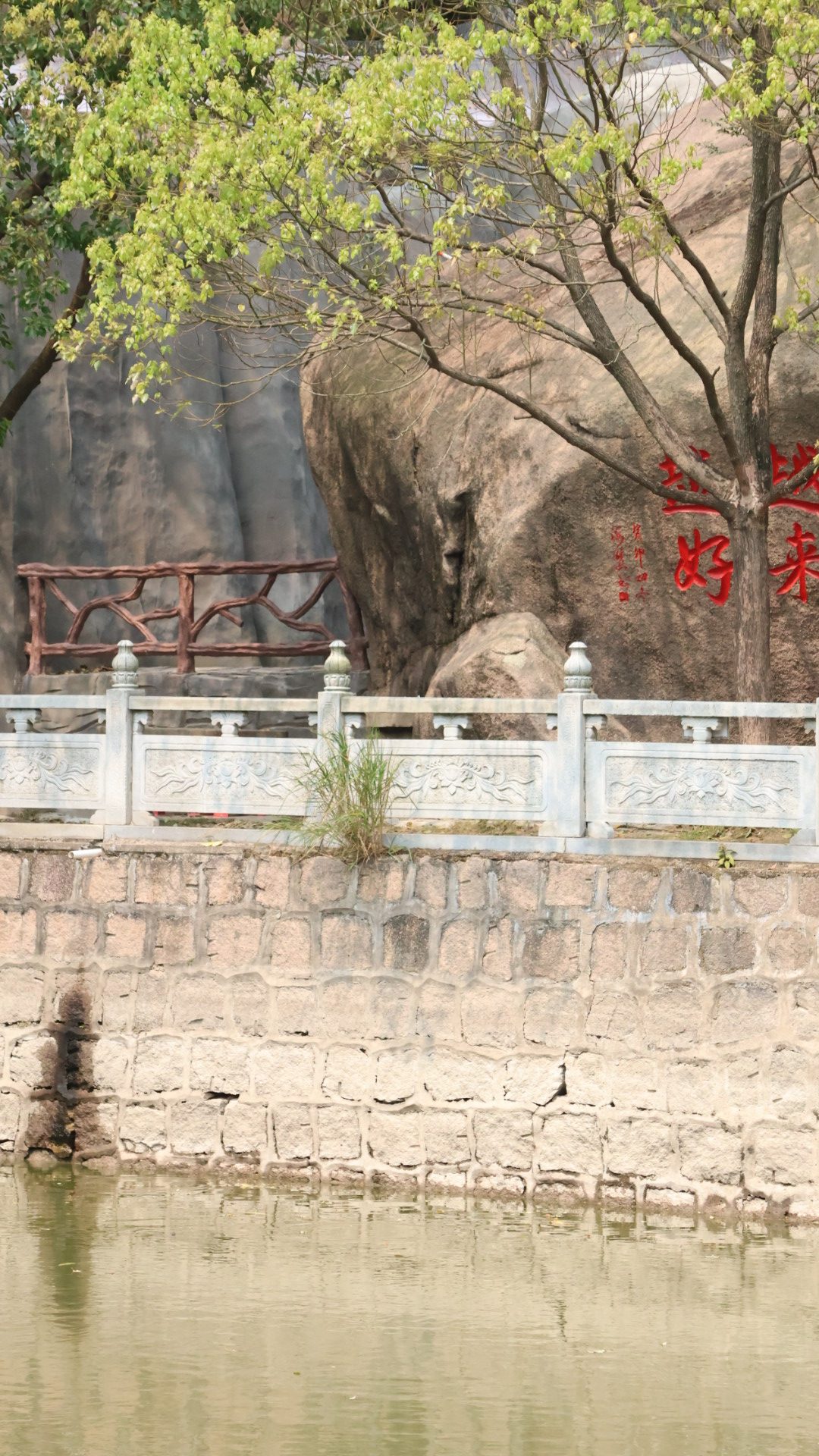 《心缘净青》-2024年中国大学生当代摄影奖获奖作品展-银奖作品