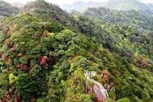 2024“物种宝库 南岭明珠”南岭文创产品设计大赛