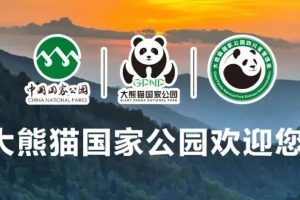 四川省大熊猫科学研究院形象标识（LOGO）征集公告