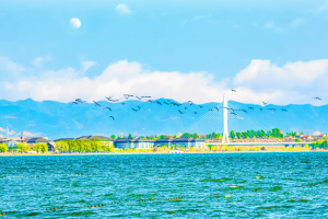 山西省第十七届运动会会徽、主题口号征集启动