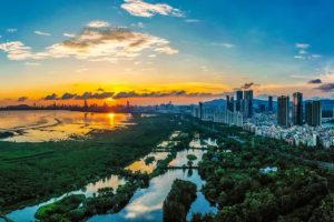 2025第六届“美丽鹏城”生态环境摄影大赛