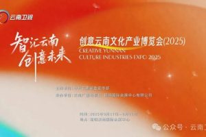 “大美中国，宝藏云南，和合澜湄”创意云南文化产业博览会(2025)设计大展作品征集